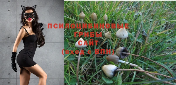 соль ск Верхний Тагил