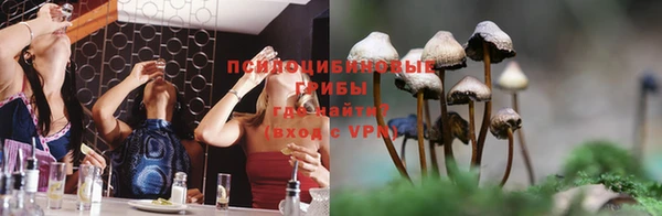 PSILOCYBIN Волосово