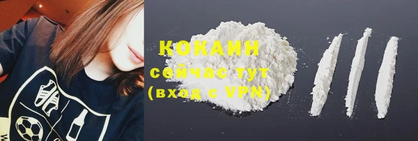 PSILOCYBIN Волосово