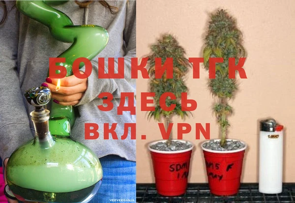 PSILOCYBIN Волосово