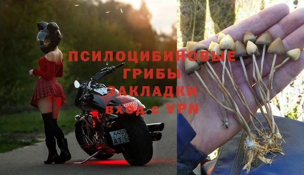 соль ск Верхний Тагил