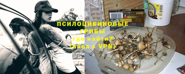spice Володарск