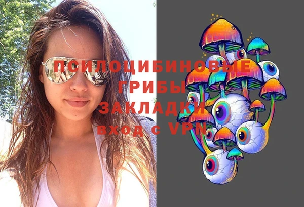 соль ск Верхний Тагил