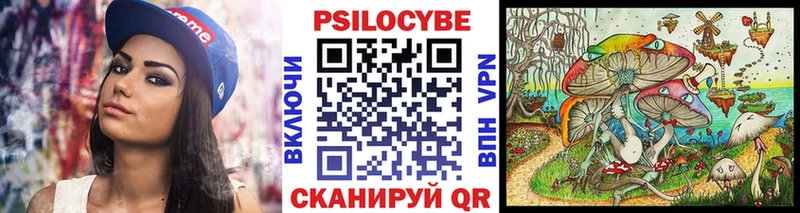 Галлюциногенные грибы мицелий  где можно купить наркотик  Луга 